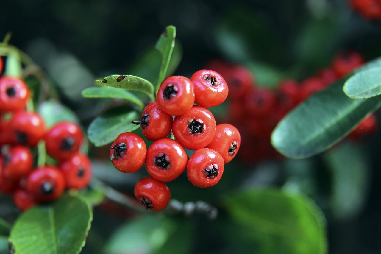 齐尔克泽的 齐尔克泽的