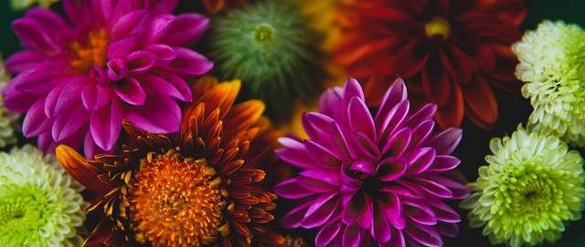 对中超联赛 对中超联赛