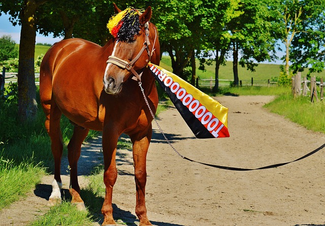 直都是俱乐 直都是俱乐